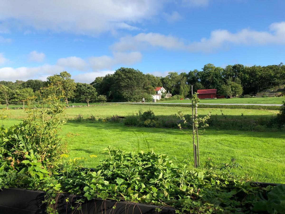 Mysig Nybyggd Stuga Naera Hav Och Natur Klovedal ภายนอก รูปภาพ